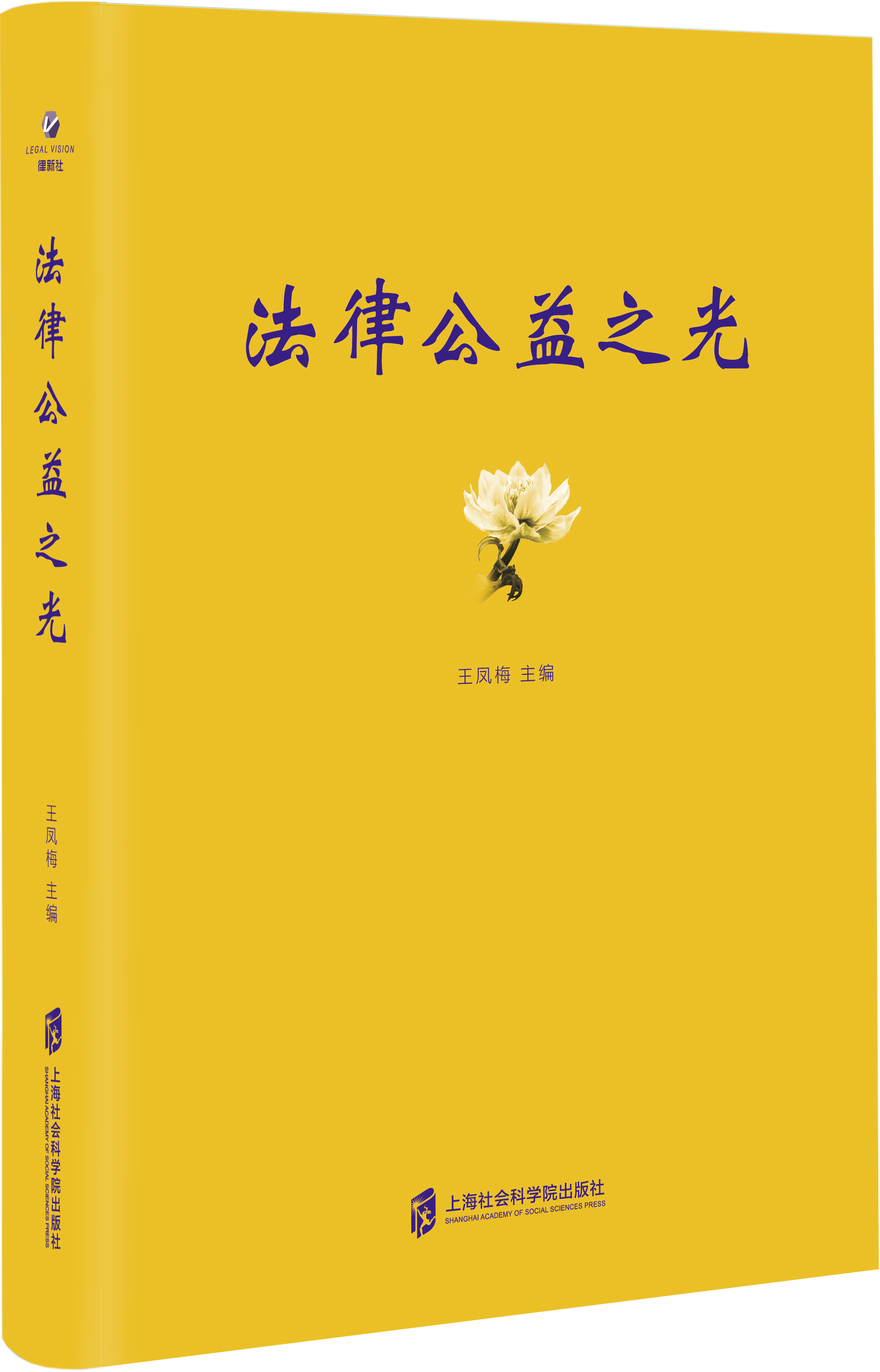法律公益之光.png